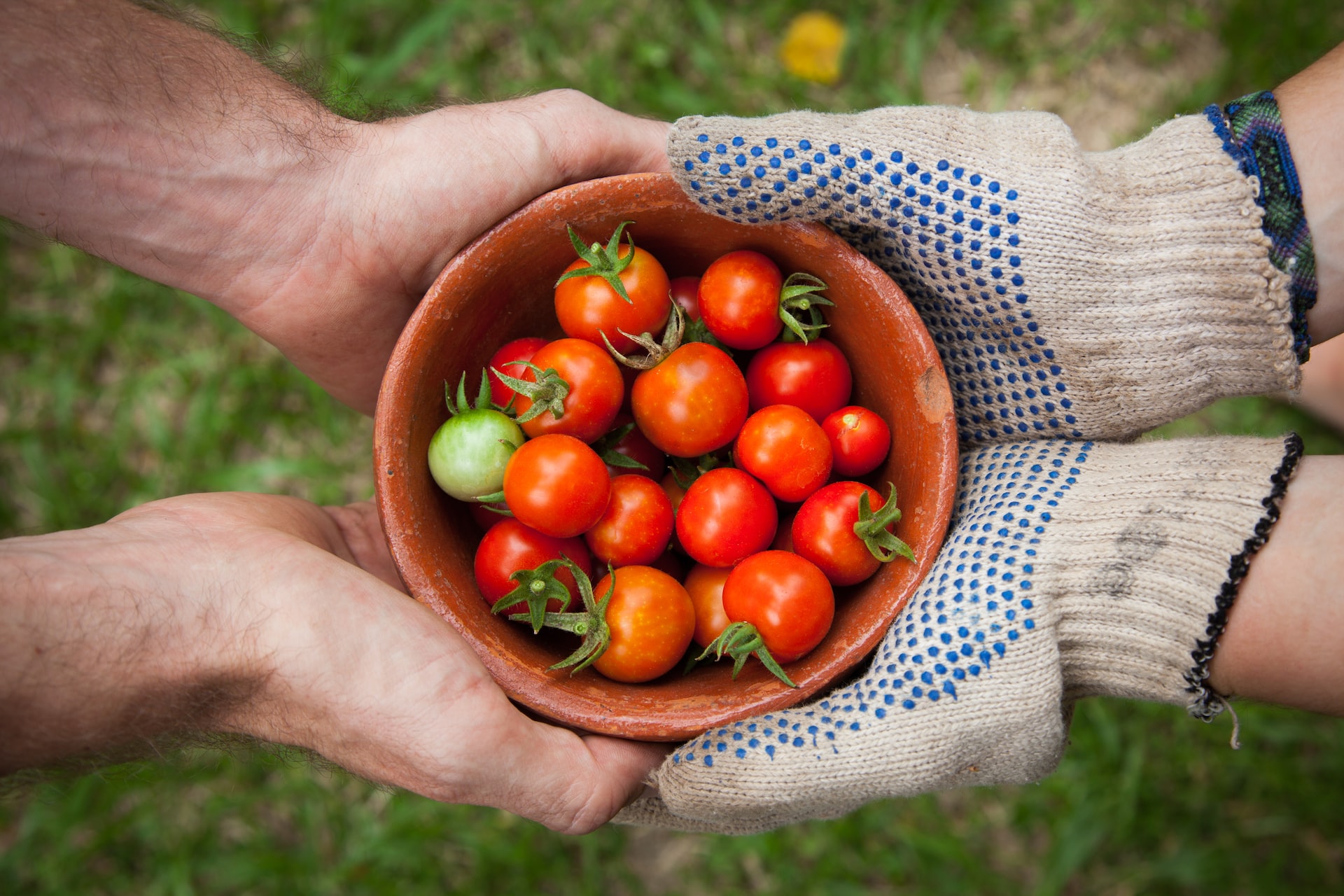 Read more about the article Discover 10 benefits of working with a integrative nutrition health coach to improve your health and well-being.